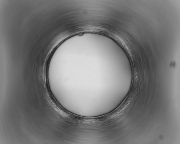 X0000096720843200802261652