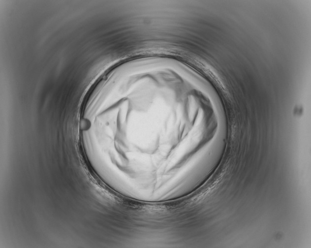 X0000096720844200802261652