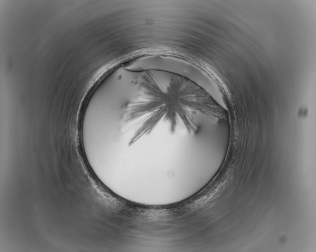 X0000096720845200802261652