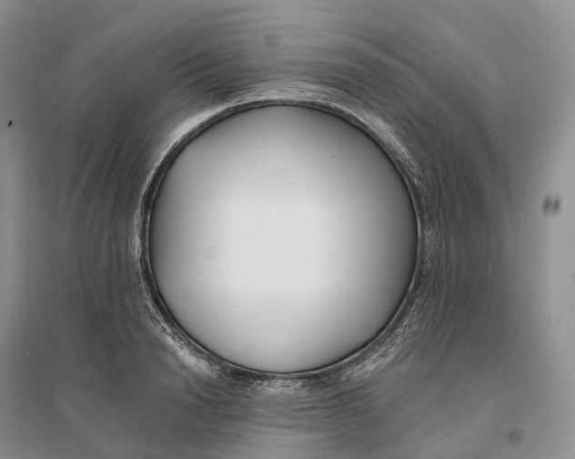 X0000096720846200802261652