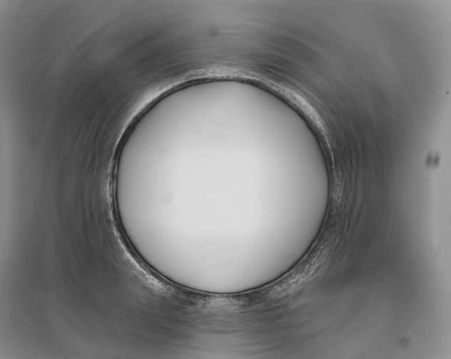 X0000096720847200802261652