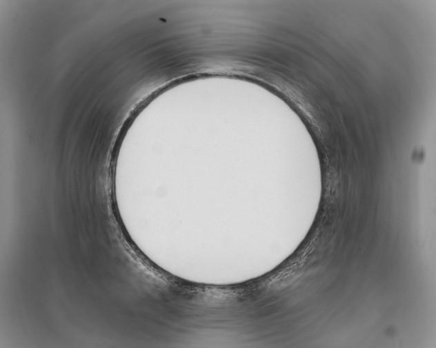 X0000096720848200802261652