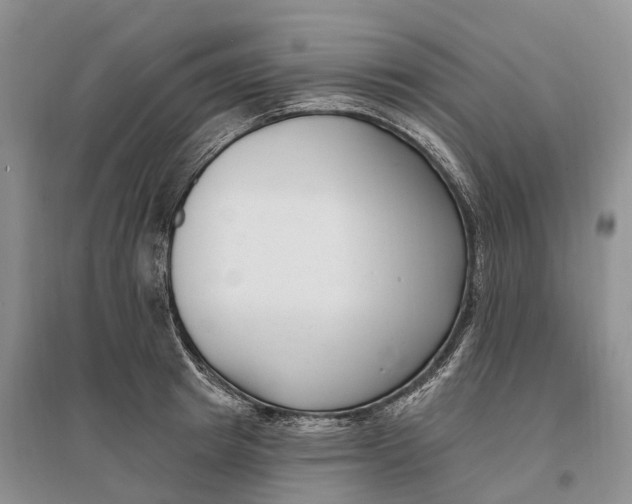 X0000096720849200802261652