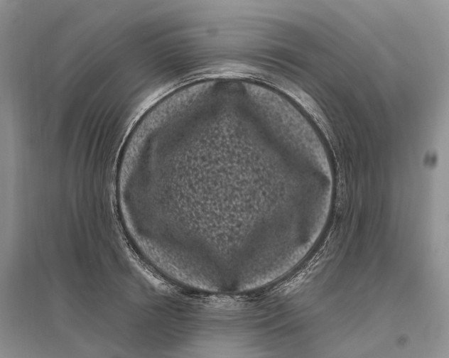 X0000096720850200802261652