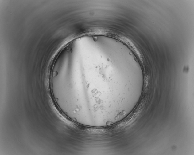 X0000096720851200802261652