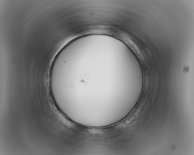 X0000096720852200802261652