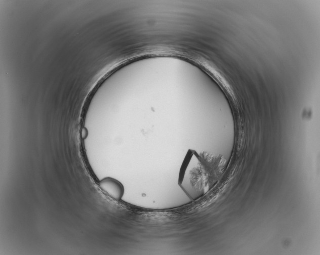 X0000096720853200802261652