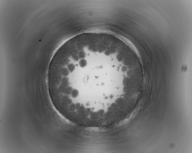 X0000096720855200802261652