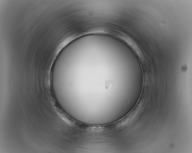 X0000096720858200802261652