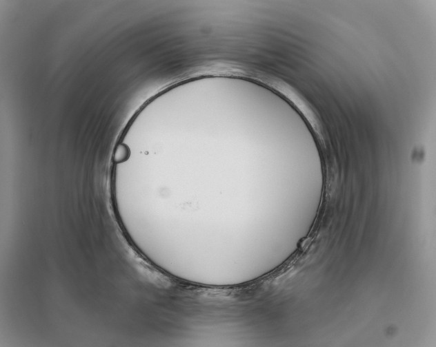 X0000096720861200802261652