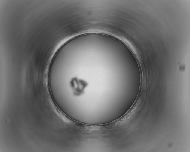 X0000096720862200802261652