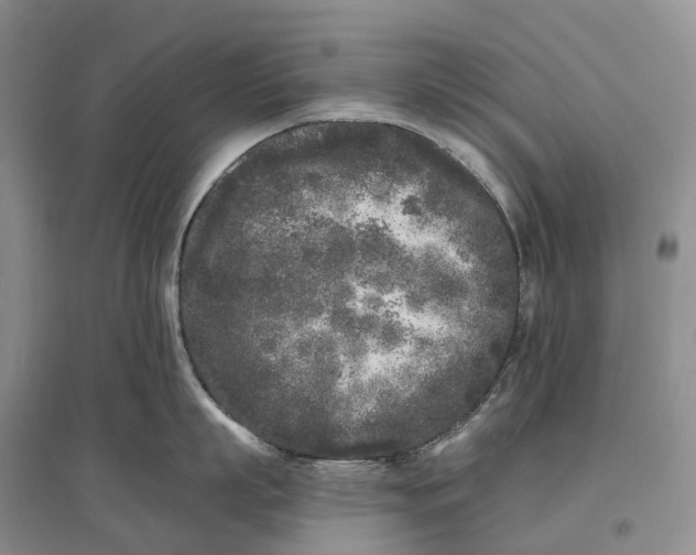 X0000096720863200802261652