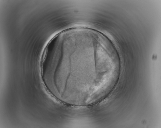 X0000096720864200802261652