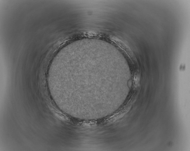 X0000096720865200802261651