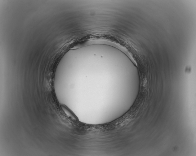 X0000096720868200802261651