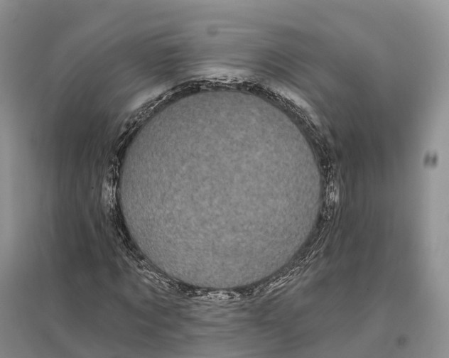 X0000096720869200802261651