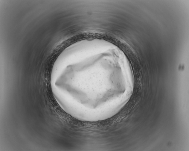 X0000096720870200802261651