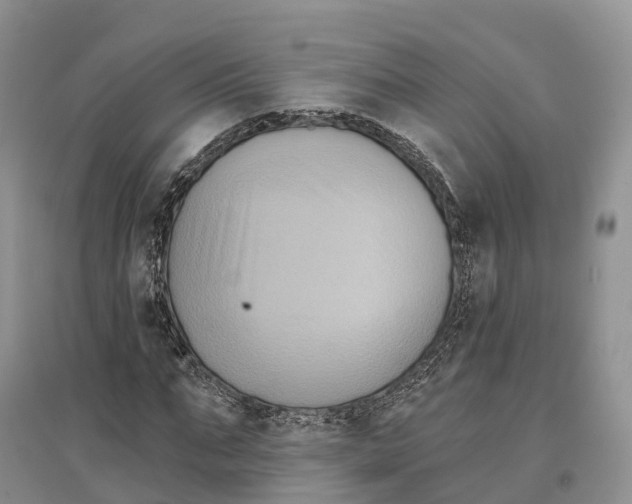 X0000096720871200802261651