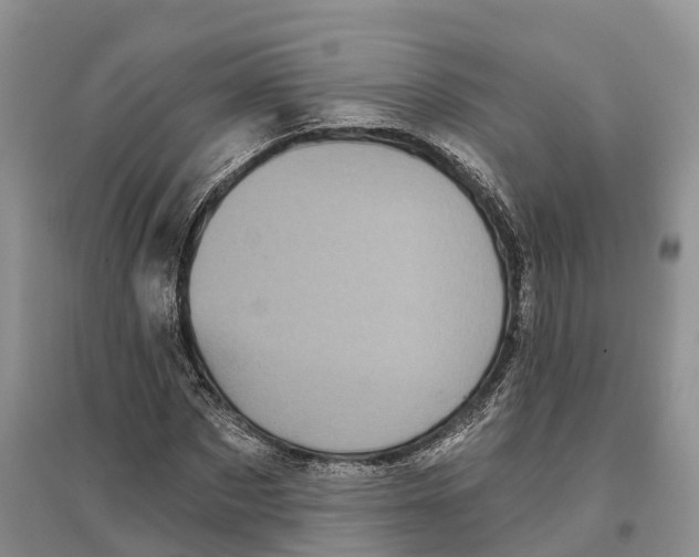 X0000096720873200802261651