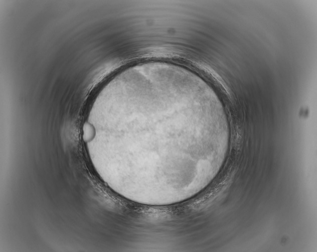 X0000096720874200802261651