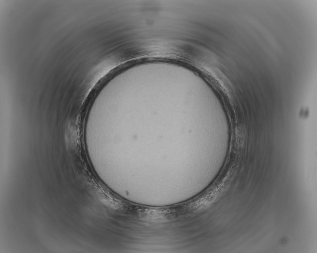 X0000096720875200802261651