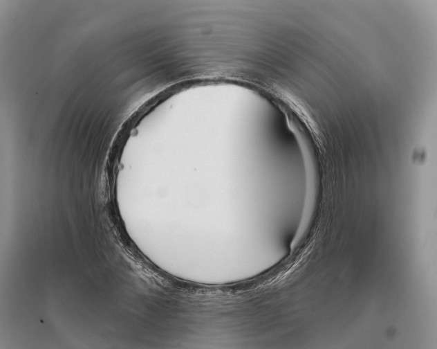 X0000096720876200802261651