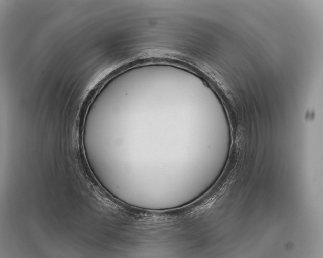 X0000096720877200802261651