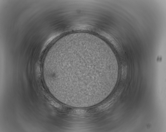 X0000096720878200802261651