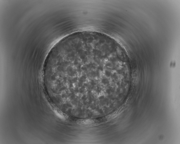 X0000096720879200802261651