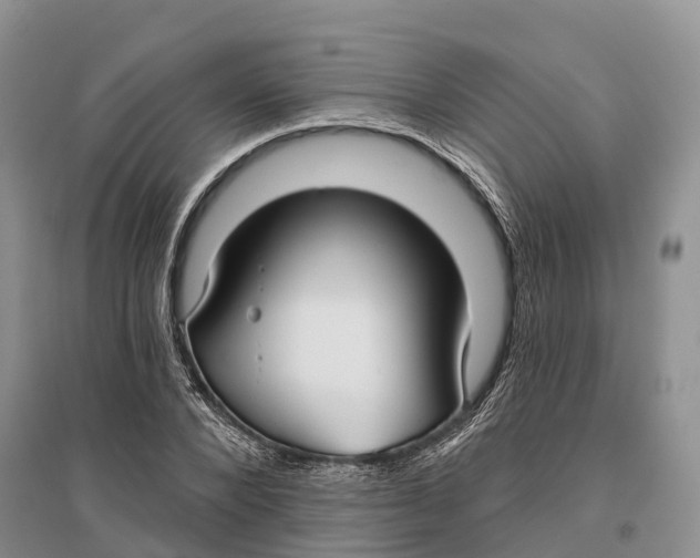 X0000096720880200802261651