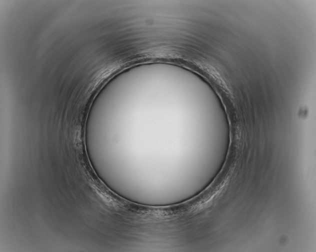 X0000096720881200802261651