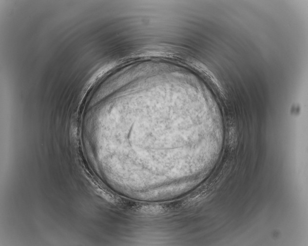 X0000096720882200802261651