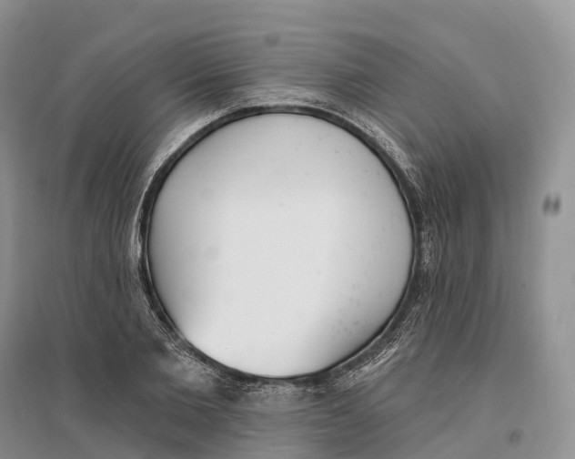 X0000096720885200802261651