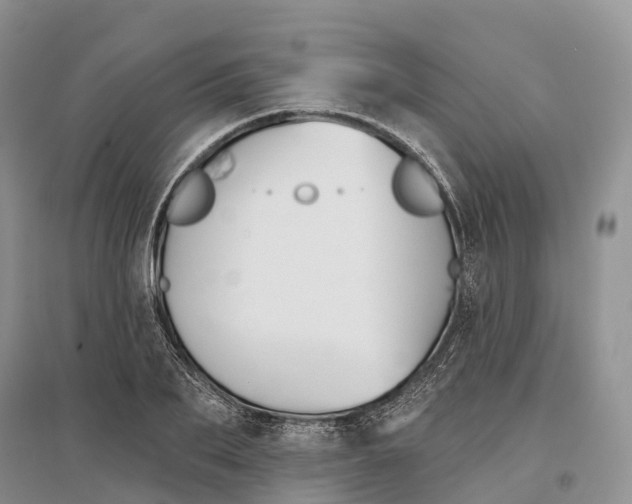 X0000096720887200802261651