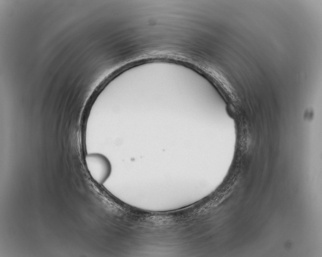 X0000096720888200802261651