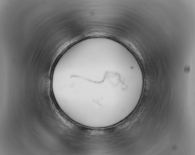 X0000096720890200802261651