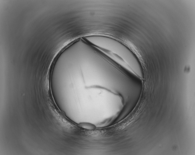 X0000096720892200802261651