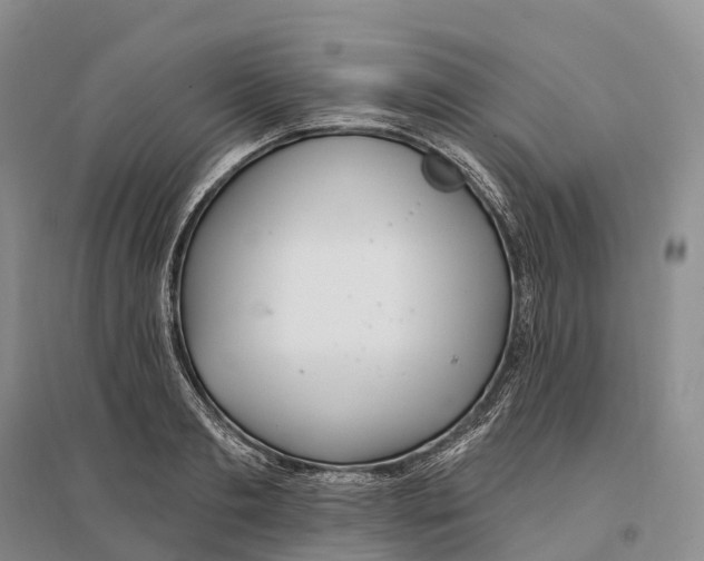 X0000096720893200802261651