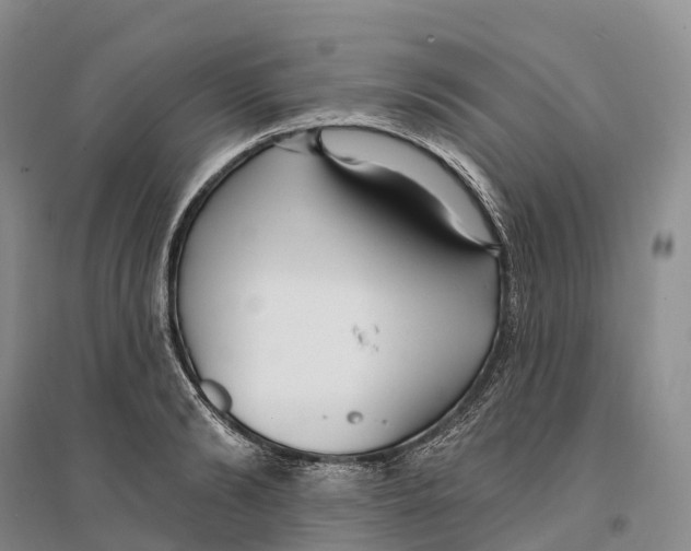 X0000096720894200802261651