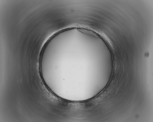 X0000096720896200802261651