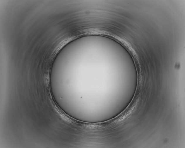 X0000096720897200802261651