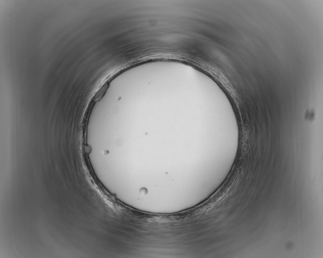 X0000096720898200802261651