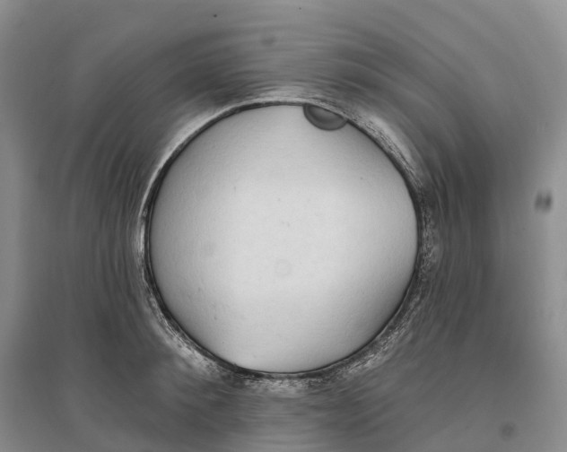 X0000096720900200802261651