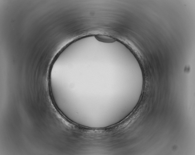 X0000096720902200802261650