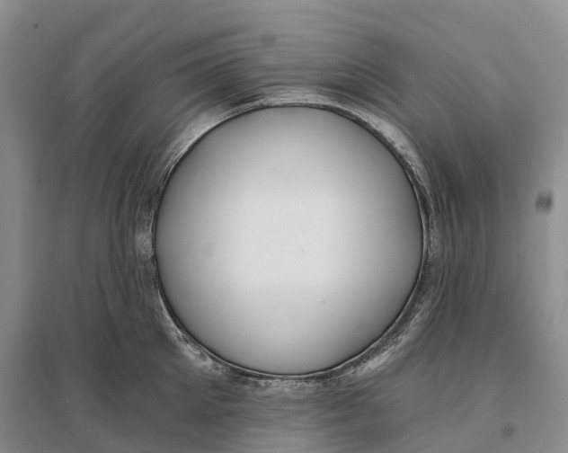 X0000096720905200802261650