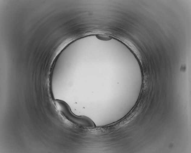 X0000096720906200802261650