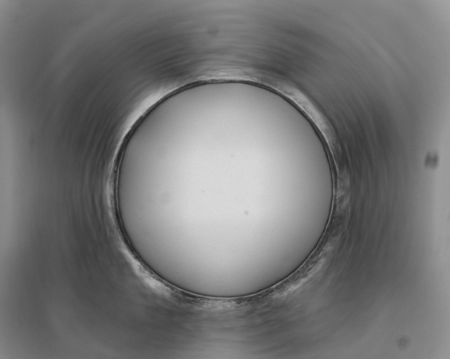 X0000096720909200802261650