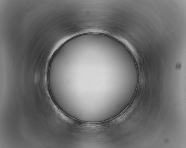 X0000096720910200802261650