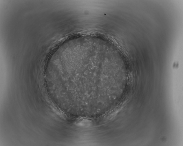 X0000096720913200802261649