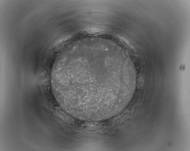 X0000096720917200802261649